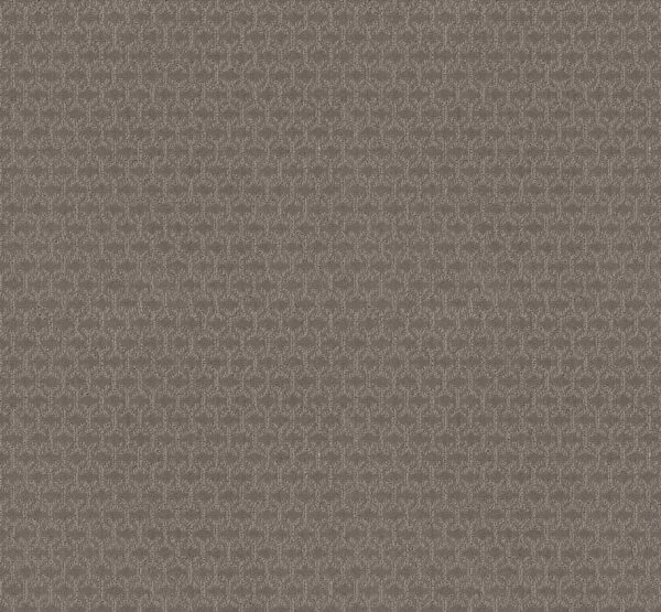 Shaw Floors Carpet Valid Iced Mocha 00505_5E323