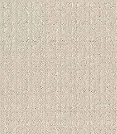 Shaw Floors Carpet Vastly Pearl 00103_5E324