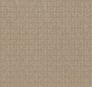 Shaw Floors Carpet Vastly Nature Walk 00107_5E324