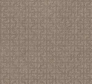 Shaw Floors Carpet Vastly Shadow 00109_5E324