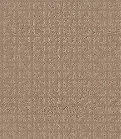 Shaw Floors Carpet Vastly Toast 00110_5E324
