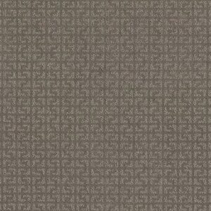 Shaw Floors Carpet Vastly Iced Mocha 00505_5E324