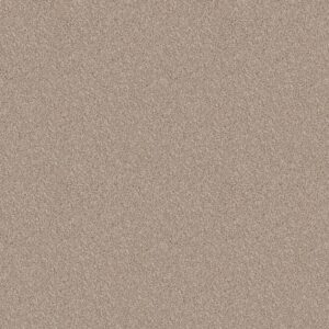 Shaw Floors Carpet Take Away (T) Summer Sand 00121_5E425