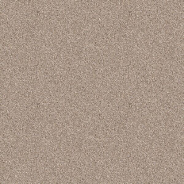 Shaw Floors Carpet Take Away (T) Summer Sand 00121_5E425