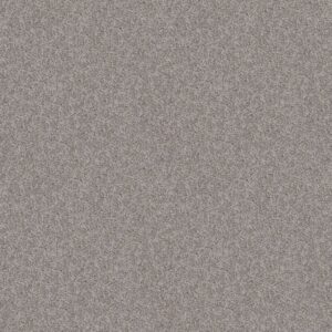 Shaw Floors Carpet Take Away (T) Chateau 00520_5E425