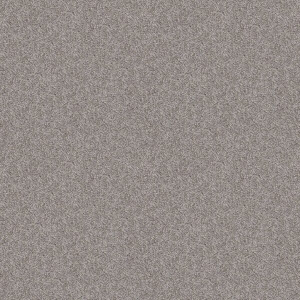 Shaw Floors Carpet Take Away (T) Chateau 00520_5E425