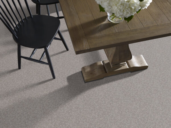 Shaw Floors Carpet Take Away (T) Chateau 00520_5E425 - Image 2