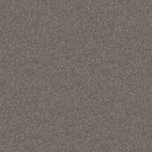 Shaw Floors Carpet Take Away (T) Truffle 00521_5E425