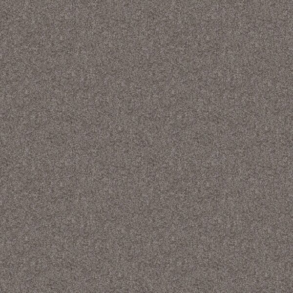 Shaw Floors Carpet Take Away (T) Truffle 00521_5E425