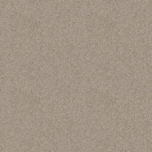 Shaw Floors Carpet Take Away (T) Frontier 00720_5E425