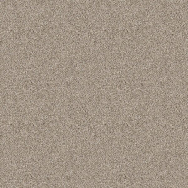 Shaw Floors Carpet Take Away (T) Frontier 00720_5E425