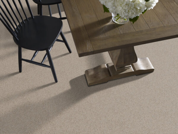 Shaw Floors Carpet Take Away (T) Frontier 00720_5E425 - Image 2