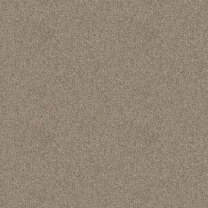Shaw Floors Carpet Take Away (T) Mulch 00721_5E425