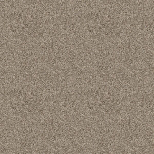 Shaw Floors Carpet Take Away (T) Mulch 00721_5E425