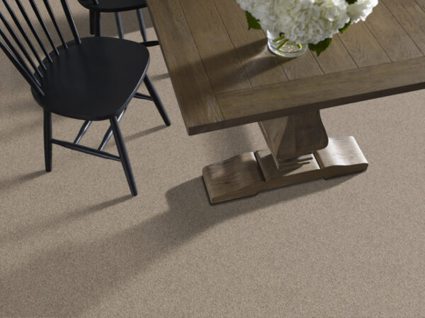 Shaw Floors Carpet Take Away (T) Mulch 00721_5E425 - Image 2
