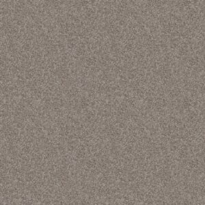 Shaw Floors Carpet Take Away (T) Hawk 00722_5E425