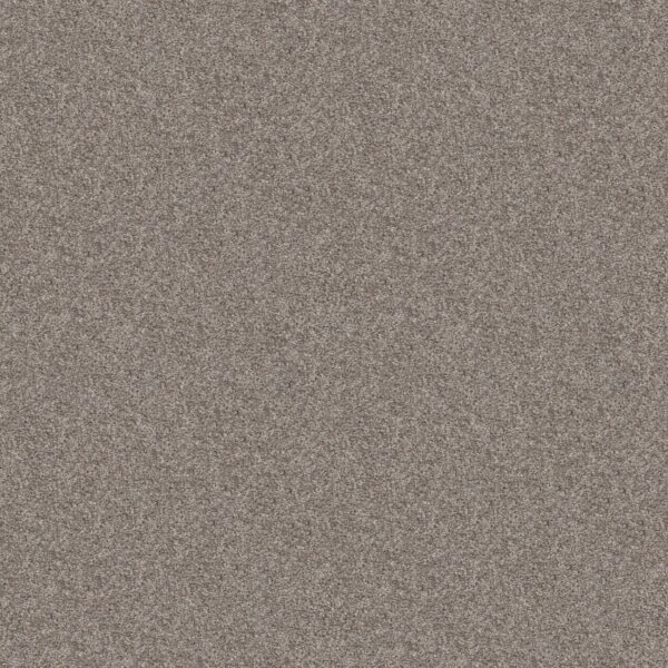 Shaw Floors Carpet Take Away (T) Hawk 00722_5E425
