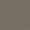 Shaw Floors Carpet Take Away (S) Shadow 00502_5E426