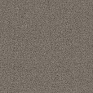 Shaw Floors Carpet Take Away (S) Shadow 00502_5E426