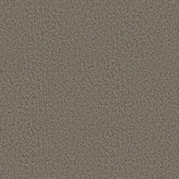 Shaw Floors Carpet Take Away (S) Shadow 00502_5E426