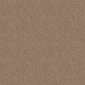 Shaw Floors Carpet Take Away (S) Raft 00701_5E426