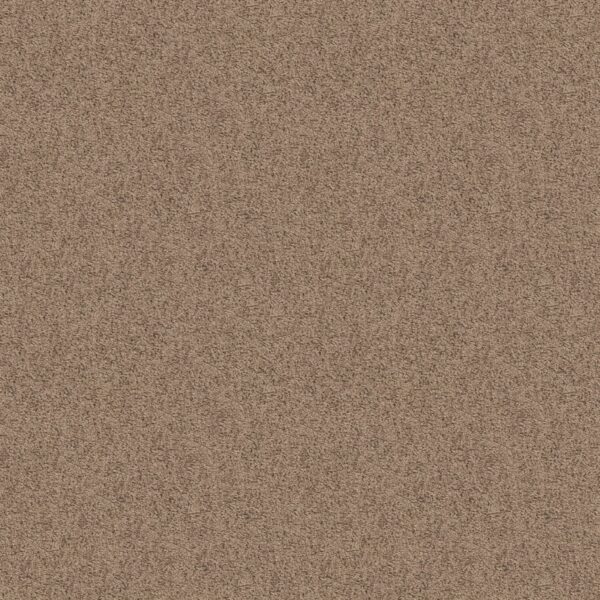 Shaw Floors Carpet Take Away (S) Raft 00701_5E426