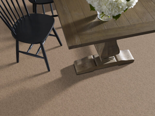 Shaw Floors Carpet Take Away (S) Raft 00701_5E426 - Image 2