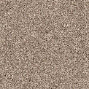 Shaw Floors Carpet Take Away (S) Ridge 00702_5E426