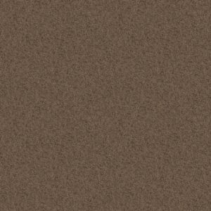 Shaw Floors Carpet Take Away (S) Canoe 00703_5E426
