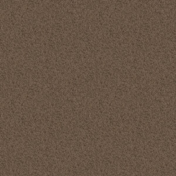 Shaw Floors Carpet Take Away (S) Canoe 00703_5E426