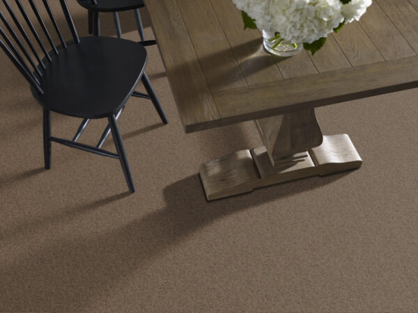 Shaw Floors Carpet Take Away (S) Canoe 00703_5E426 - Image 2
