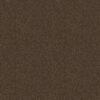 Shaw Floors Carpet Take Away (S) Mocha 00704_5E426