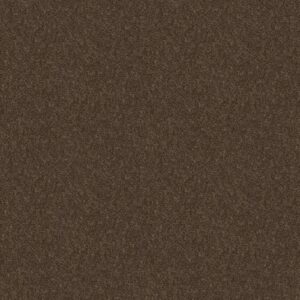 Shaw Floors Carpet Take Away (S) Mocha 00704_5E426
