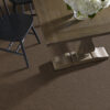 Shaw Floors Carpet Take Away (S) Mocha 00704_5E426 - Image 2