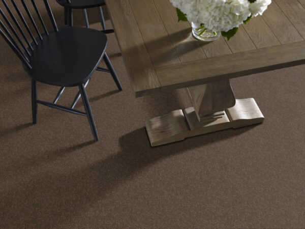 Shaw Floors Carpet Take Away (S) Mocha 00704_5E426 - Image 2