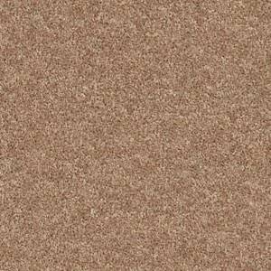 Shaw Floors Carpet Take Away (S) Dakota 00714_5E426
