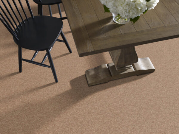 Shaw Floors Carpet Take Away (S) Dakota 00714_5E426 - Image 2