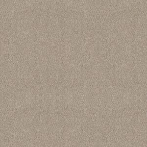 Shaw Floors Carpet Trusplendor Mist 00103_5E464