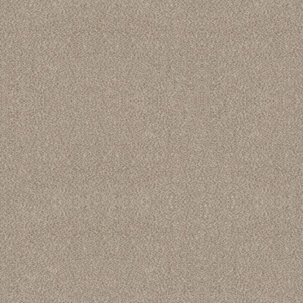 Shaw Floors Carpet Trusplendor Mist 00103_5E464