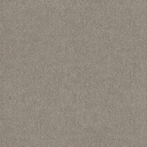 Shaw Floors Carpet Trusplendor Lady Liberty 00502_5E464