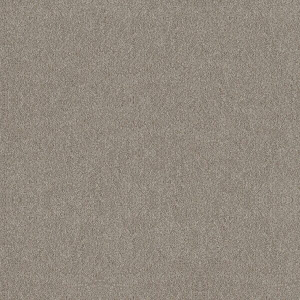 Shaw Floors Carpet Trusplendor Lady Liberty 00502_5E464