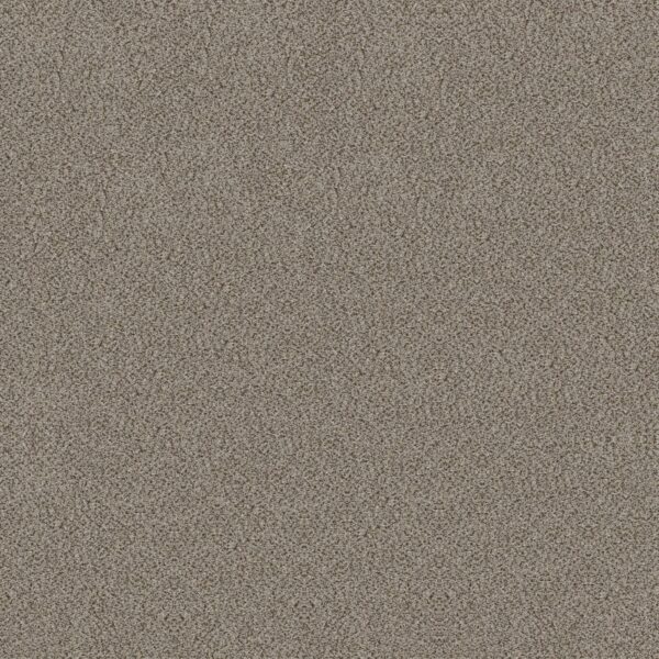 Shaw Floors Carpet Trusplendor Iron Works 00506_5E464