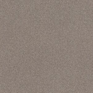 Shaw Floors Carpet Trusplendor Concrete 00507_5E464