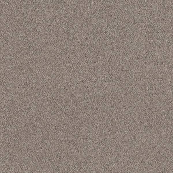 Shaw Floors Carpet Trusplendor Concrete 00507_5E464