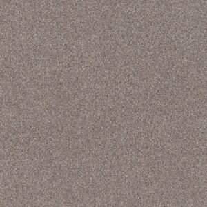 Shaw Floors Carpet Trusplendor Stainless 00508_5E464