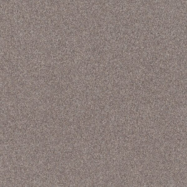 Shaw Floors Carpet Trusplendor Stainless 00508_5E464