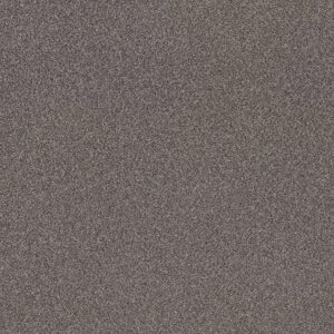 Shaw Floors Carpet Trusplendor Quarry 00509_5E464