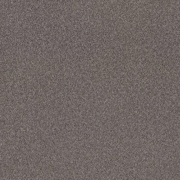 Shaw Floors Carpet Trusplendor Quarry 00509_5E464