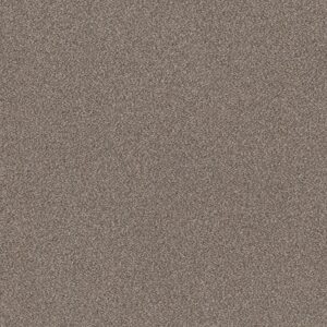 Shaw Floors Carpet Trusplendor Cobble Drive 00510_5E464