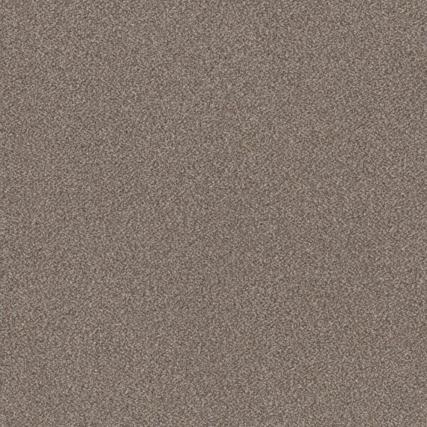 Shaw Floors Carpet Trusplendor Cobble Drive 00510_5E464
